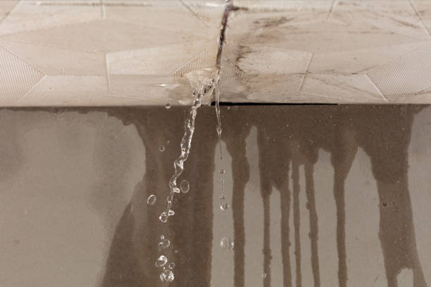 Professional Burst Pipe Cleanup technician working in Warren, NH